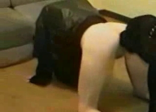 Bestiality with a seductive beauty