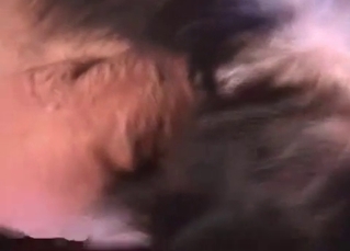 Dog gets ragdolled on his cock