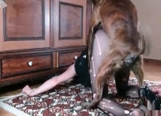 Dog enjoying hot oral fucking