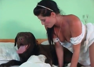 Kinky zoophilic chick and a horny dog