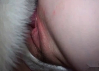 Dirty anal fucking with a shaggy dog