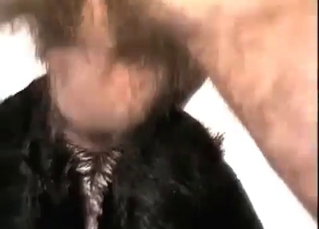 Dude raping the hell outta that dog