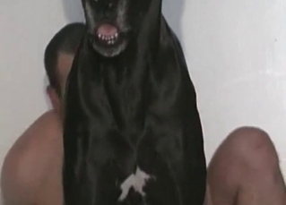 Animal sex with a horny-ass dude