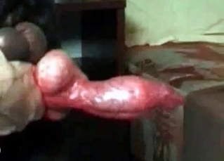 Doberman wants to fuck a slut
