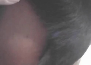 Bestiality masturbation with a cute slut
