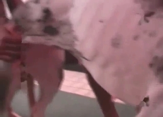 Obedient doggo enjoying anal