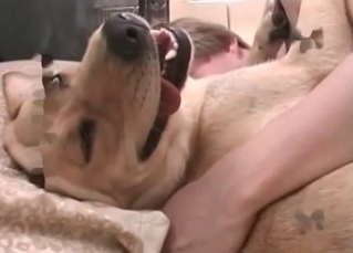 Horny dog seduced by a zoophilic chick