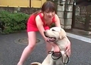 Twisted doggo and an Asian slut