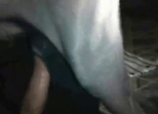 Watch how my wife is sucking our doggy