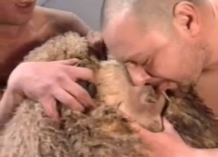 Two men and woman play with a sheep