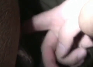 Huge cock for that mare's asshole
