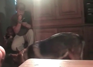 HD bestiality clip with a shepherd