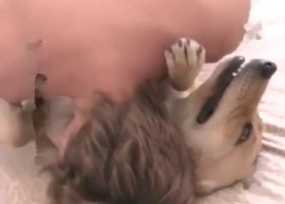 Dirty dog fucking a kinky zoophile