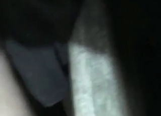This sexy-ass horse with a great ass