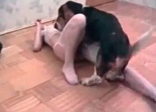 Horny dog fucking a MILFy wife