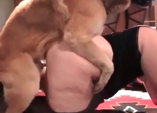 Fat zoophile enjoying animalistic sex