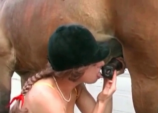 Sex-starved dog is into fucking like crazy