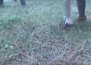 Two bitches for one horny dog