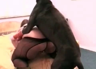 Kinky beauty loves fucking dogs