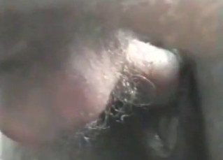 Horse loves huge cocks only