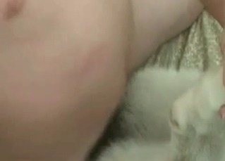 Close-up shots of beautiful bestiality
