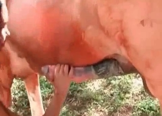 Dark-skinned slut loves animal cum