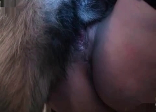 Warped doggo enjoys fetish-y fucking