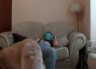 Couch-based banging with a horny dog