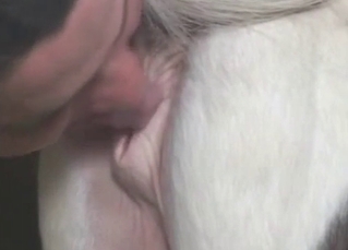Animal's ass gets worshiped by a dude