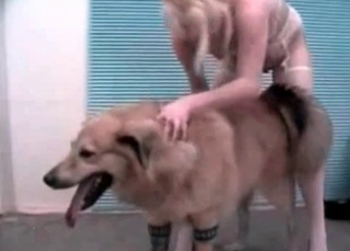 Kinky zoophile fucks a sexy-ass dog