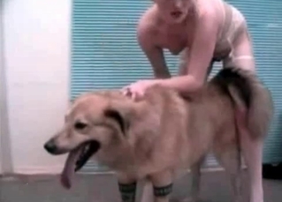 Kinky zoophile fucks a sexy-ass dog