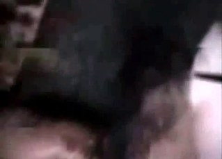Doggy style fucking with a horny dog