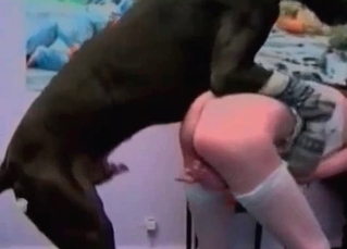 Doberman enjoying raw bestiality