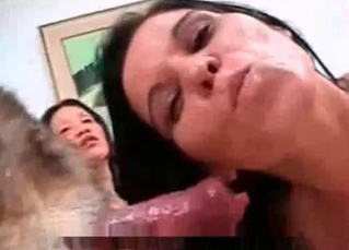 Dog cock sucked by the sisters