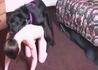 Horny dog furiously fucking on cam