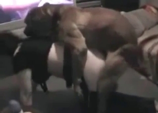 Tight pussy fucked by a huge dog