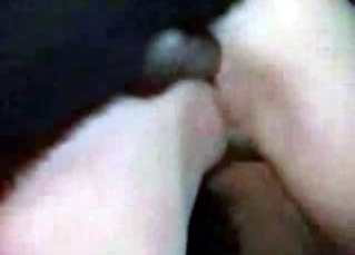 Insane bestiality with a kinky pony