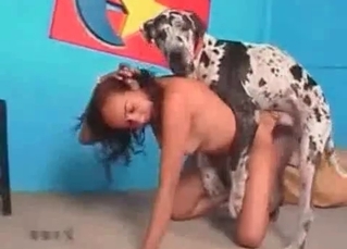 Horny ebony slut fucks a Dalmatian