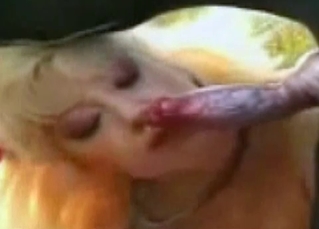 Horny dog gets a BJ from a blonde