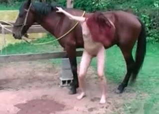 Horny horse fucking a submissive chick