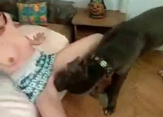 Puppy's cock gets pleasured by two babes