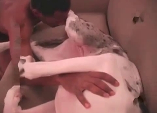 Dog's cock sucked by a black dude