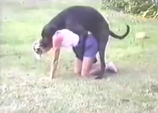 Skinny female and Doberman fuck on the grass