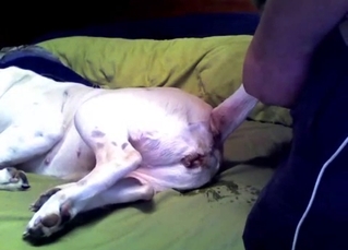 White doggy ass looks so freaking juicy
