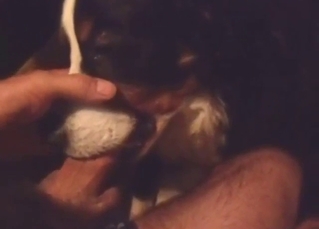 Doggy fuck with a seductive animal taking it