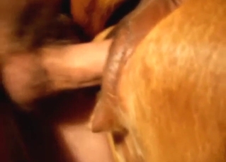 Doggystyle fuck with a dude and his kinky cow