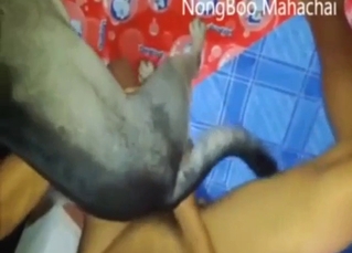 Hard screwing session with a guy and a sexy beast