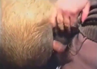 Pony with a sexy, big pussy gets fucked by a guy