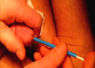 Worm injection for a guy's eager fucking urethra