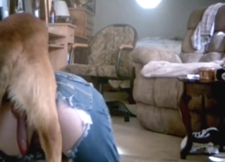 Knotty babe in denim pants gets fucked by a dog